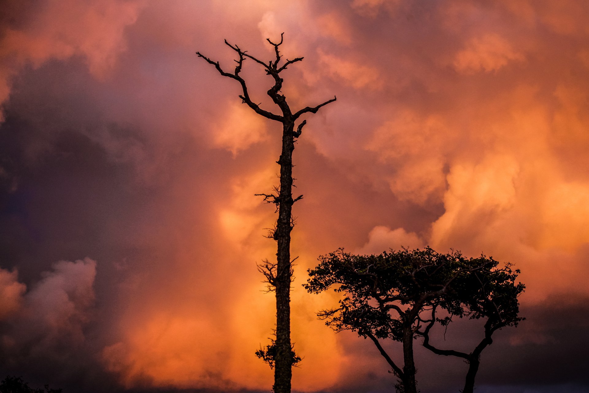 Пожар в небе