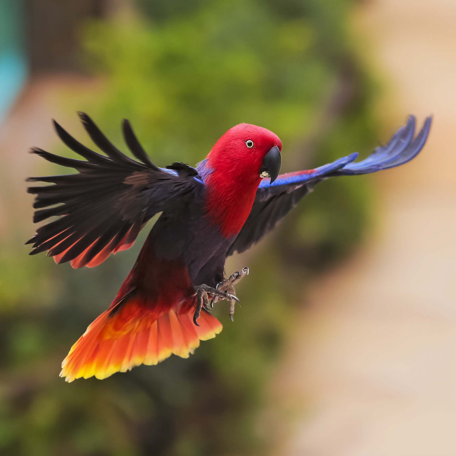 Бөкселерді шайқайтын клиптер