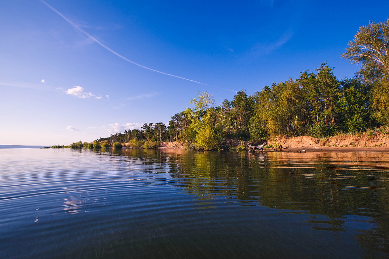 Уголок живой природы