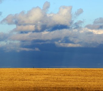 в рабочий полдень