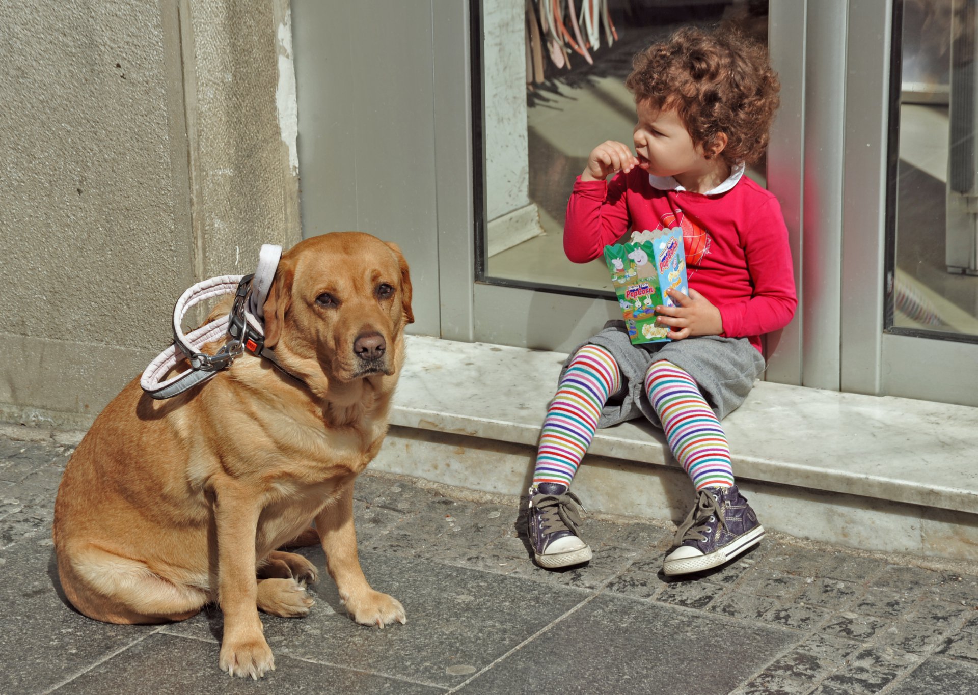 Два приятеля