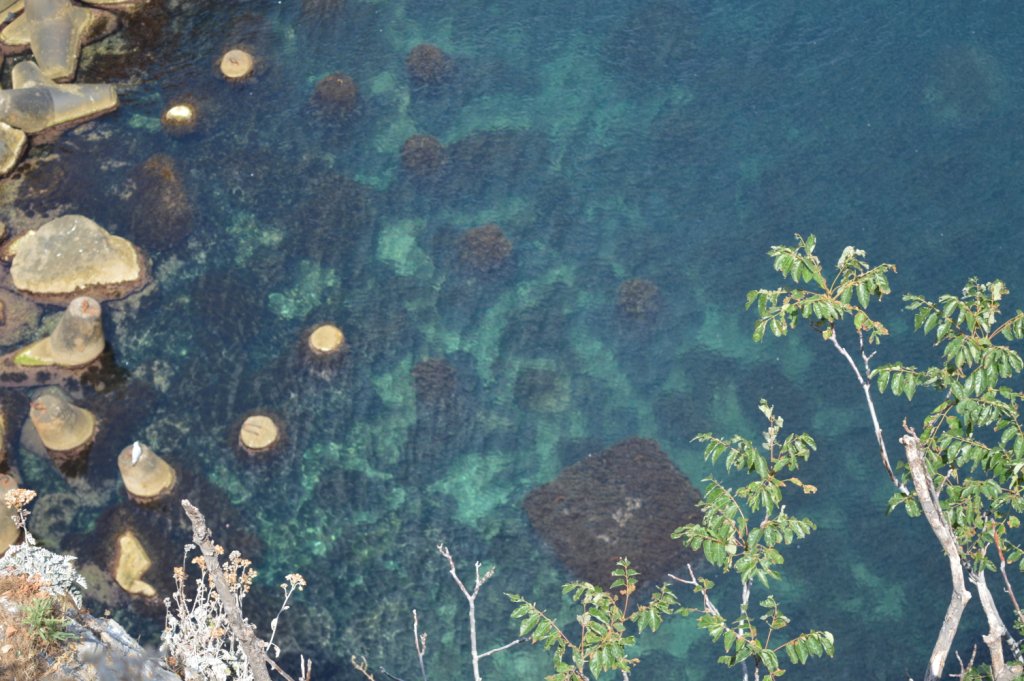 Морские чудеса