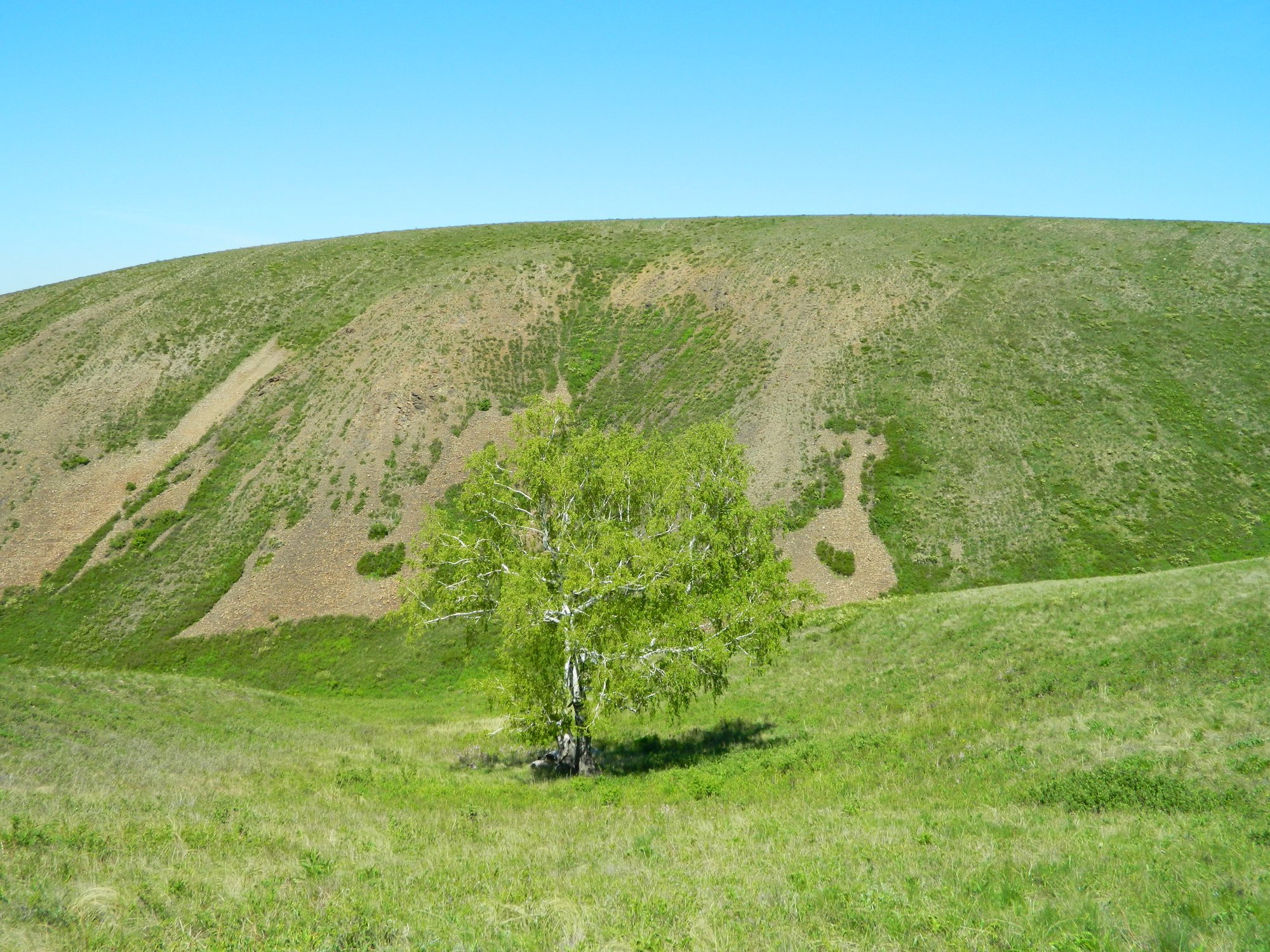 Одиночество в Уральских горах. Оренбургская область.