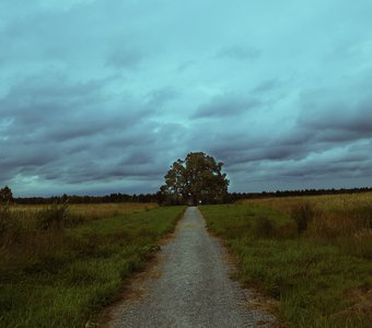 Одиночество