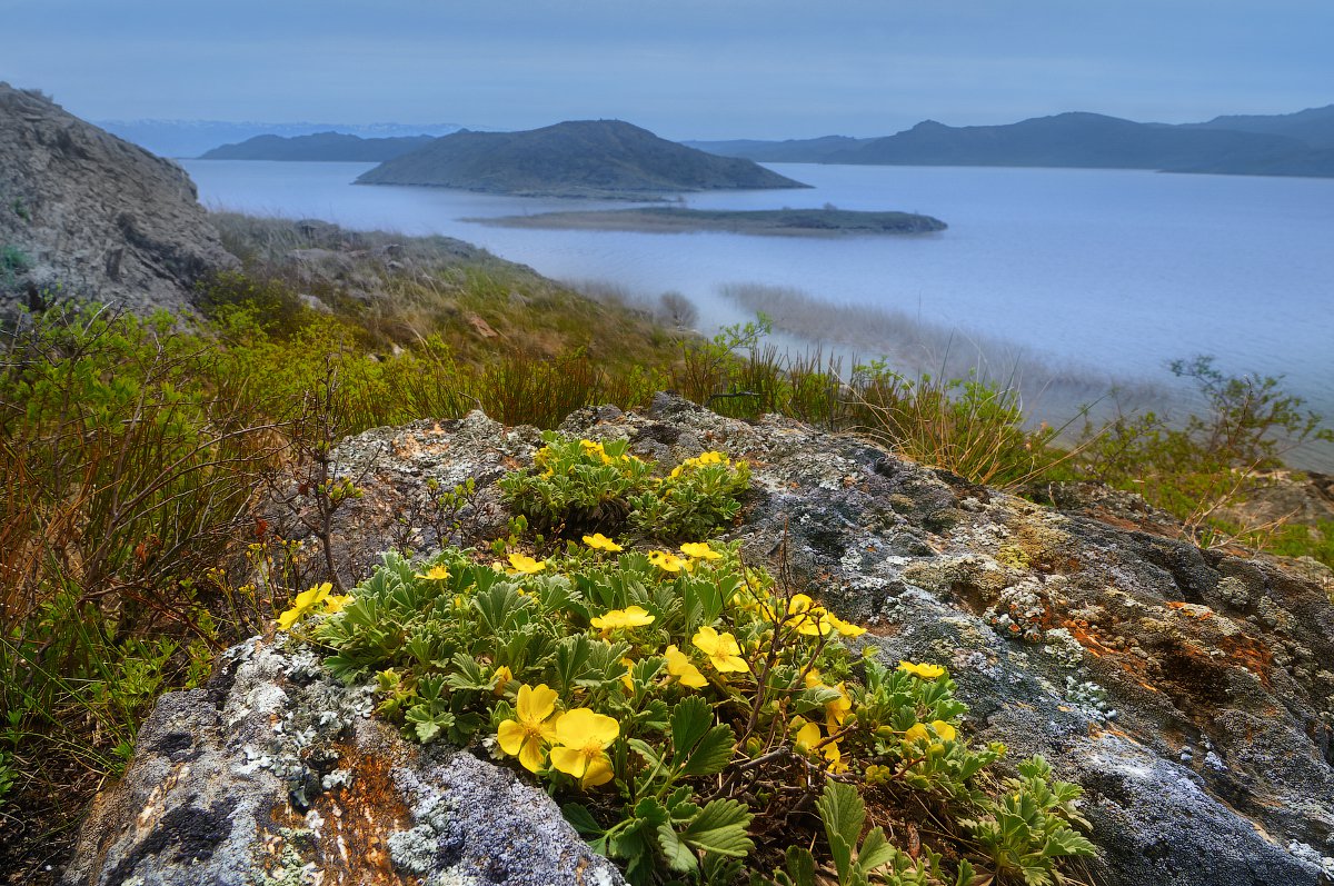 Бухтарминское море фото