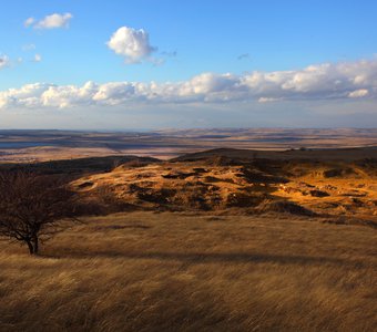 Ставропольская возвышенность