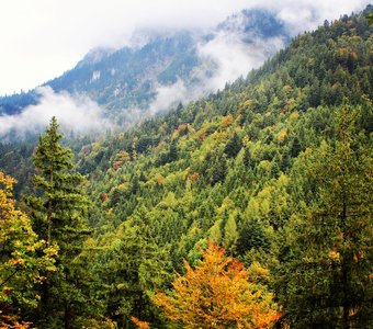 Германия, земля Бавария