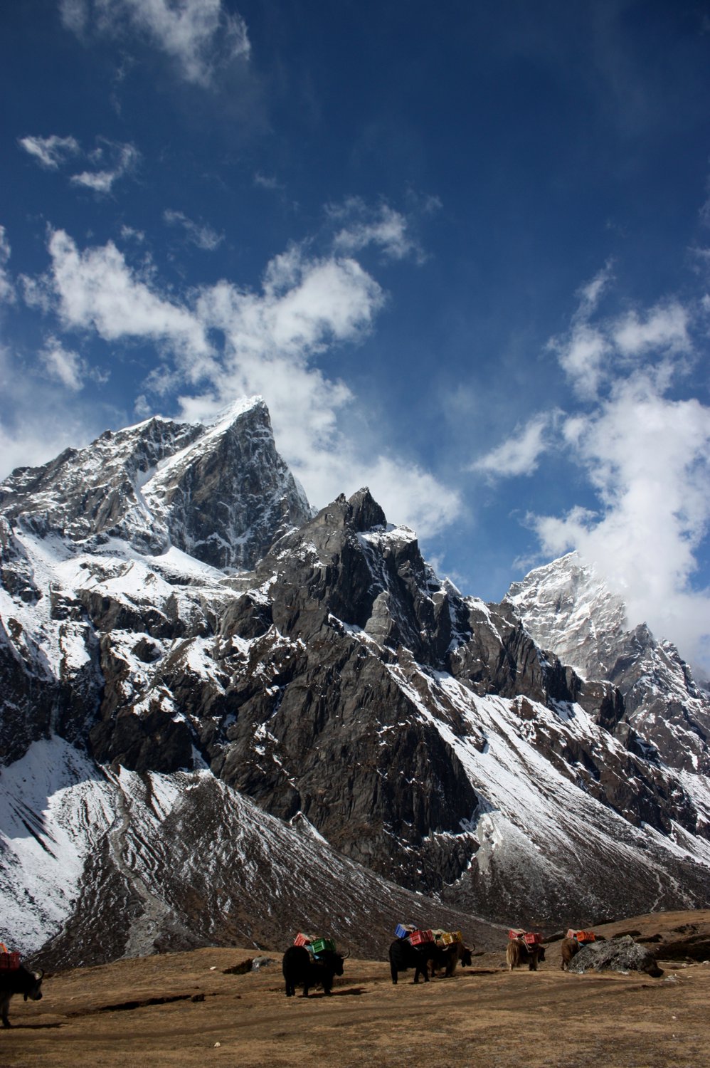 Мудрость Гималаев