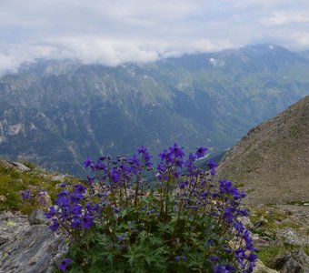 Выше альпийских лугов