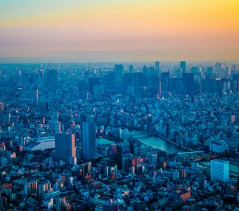 Вид Токио с самой высокой башни мегаполиса