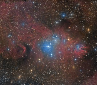 NGC2264 - Туманность Конус и скопление Рождественская Елка, туманность Лисий Мех