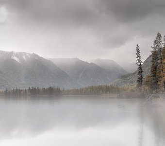 Печальное осеннее утро