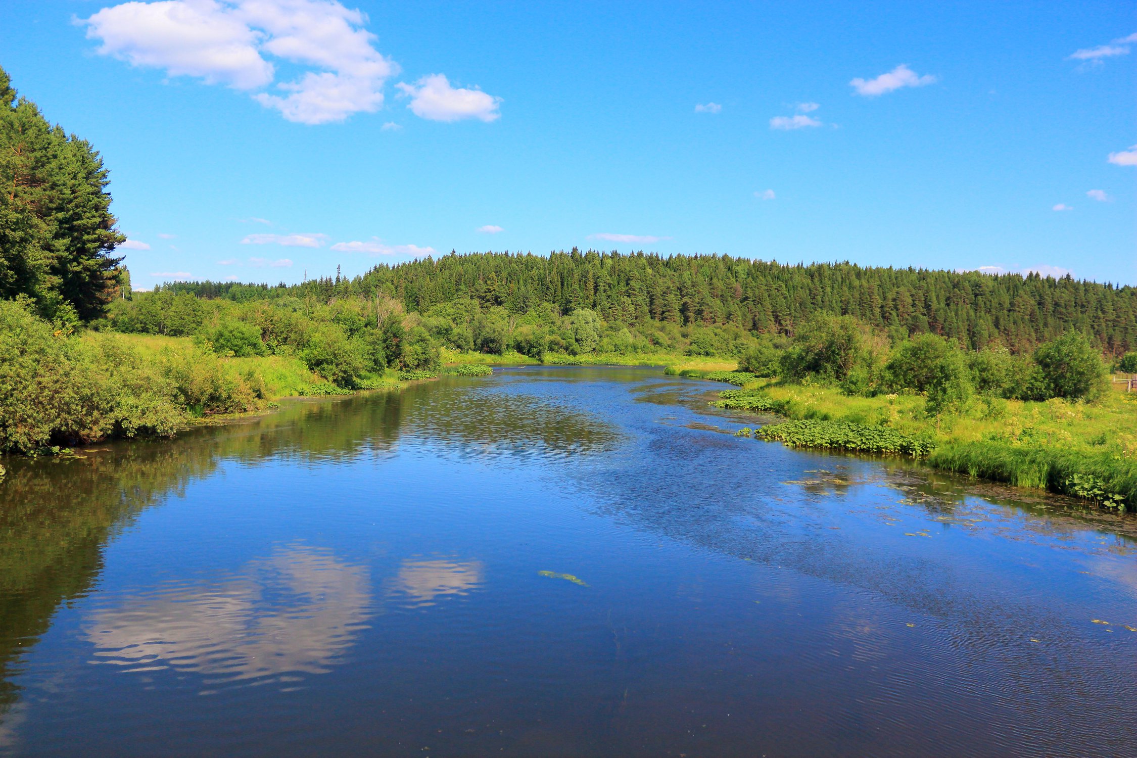 Родные просторы