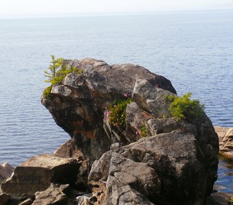 На берегу Байкала,  голова "Байкальской черепахи" (скальное образование)