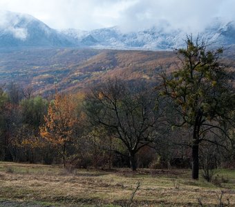 Зимнее тепло