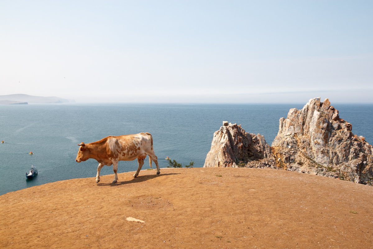 Жизнь как она есть