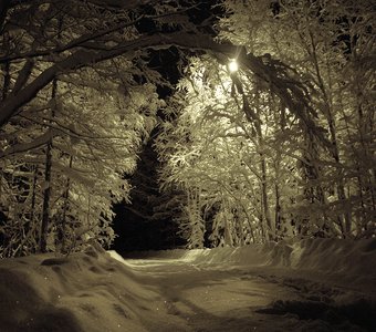 Волшебная зима и фонарный столб