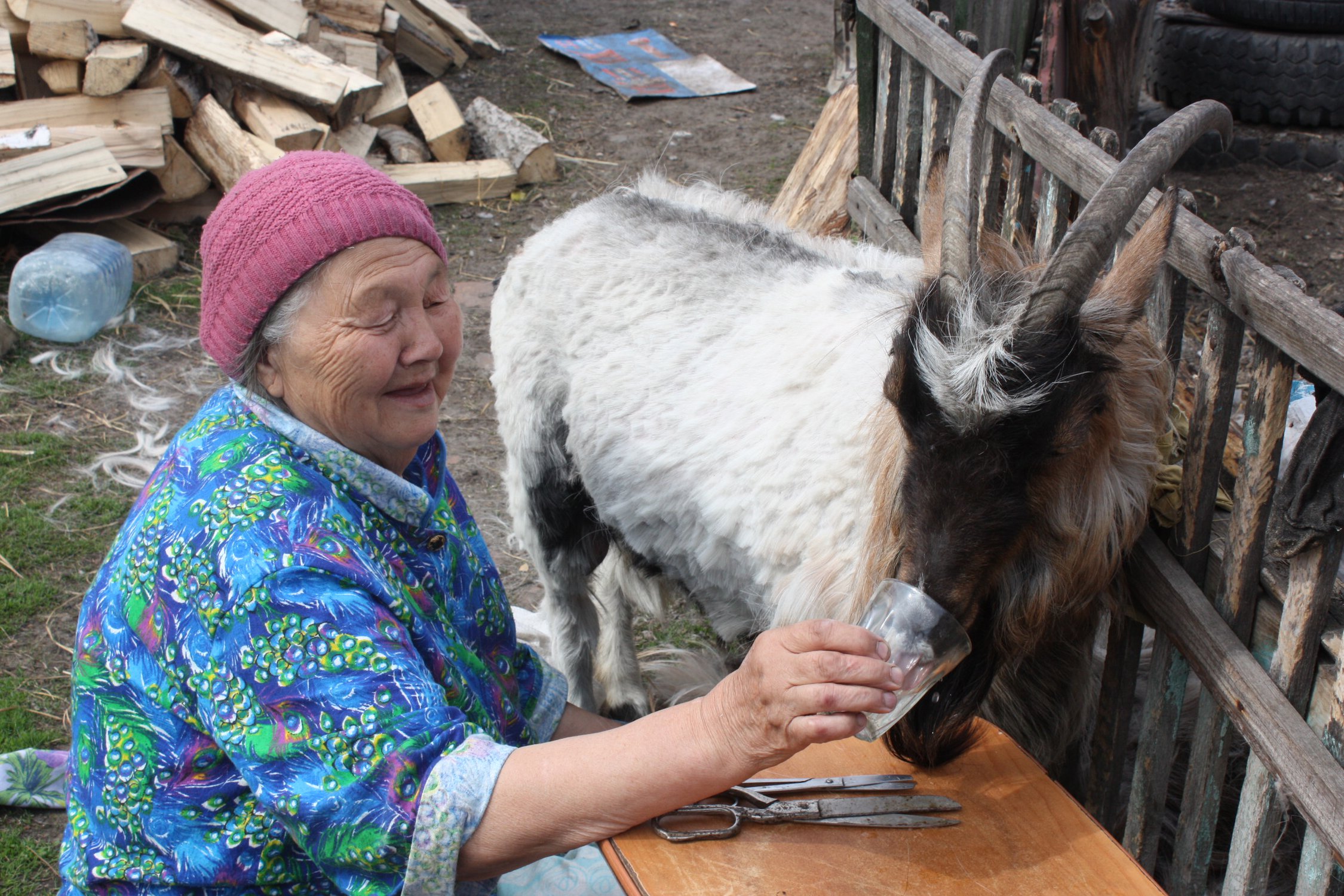 Жаркий день.