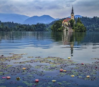 Озеро Блед. Словения