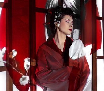 Гейша в тенях