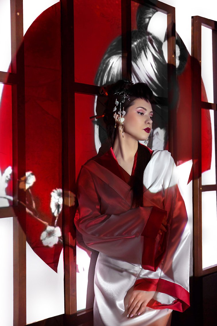 Гейша в тенях