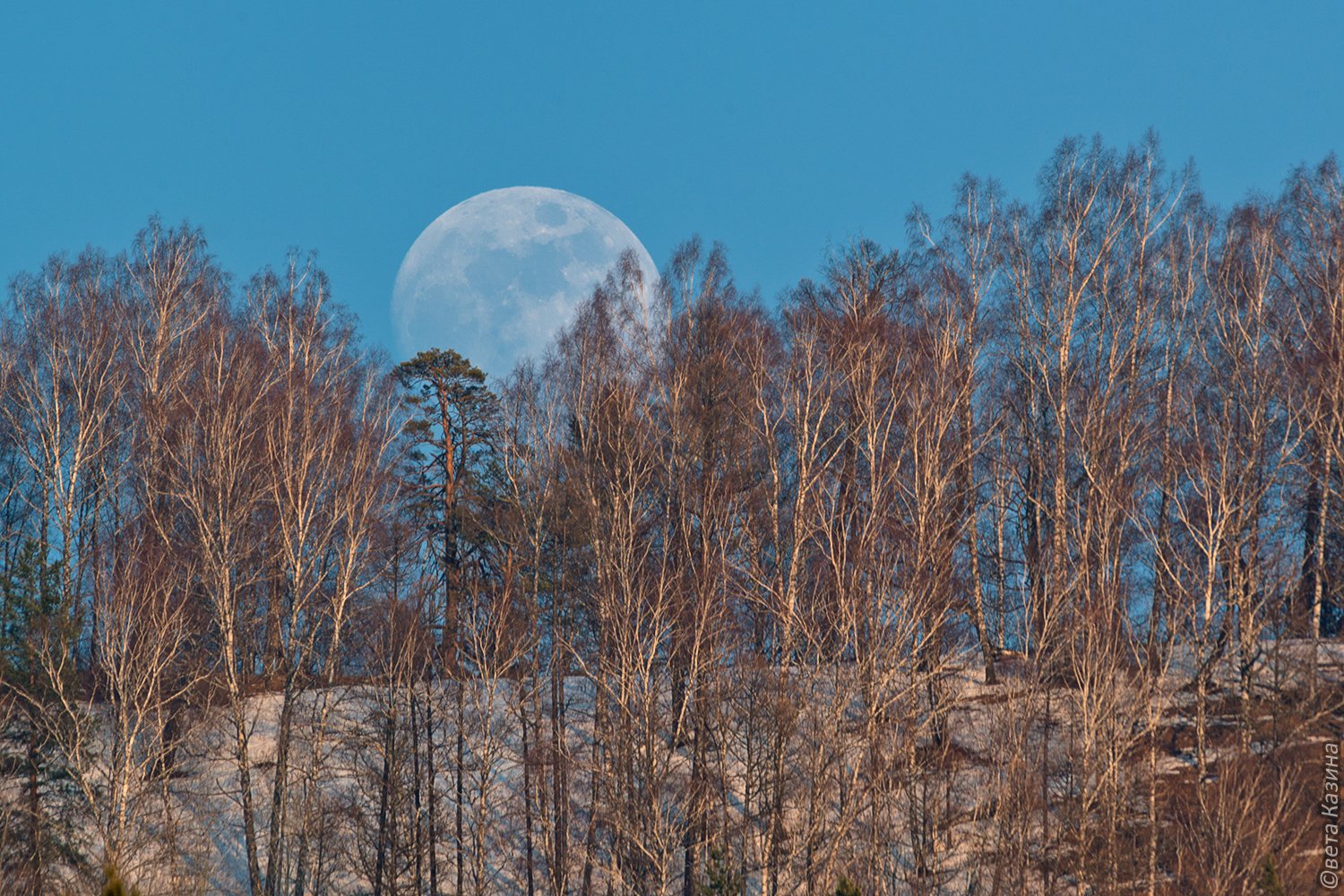 Утренняя луна — Фото №288923