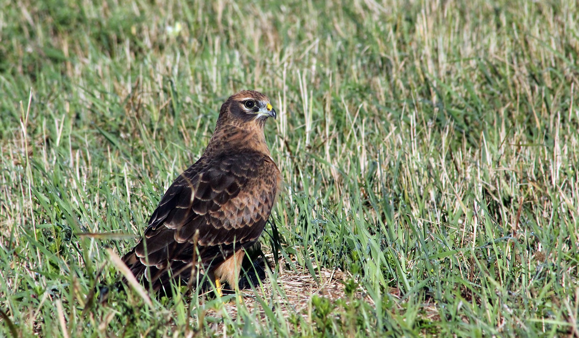 Никто не ускользнёт...