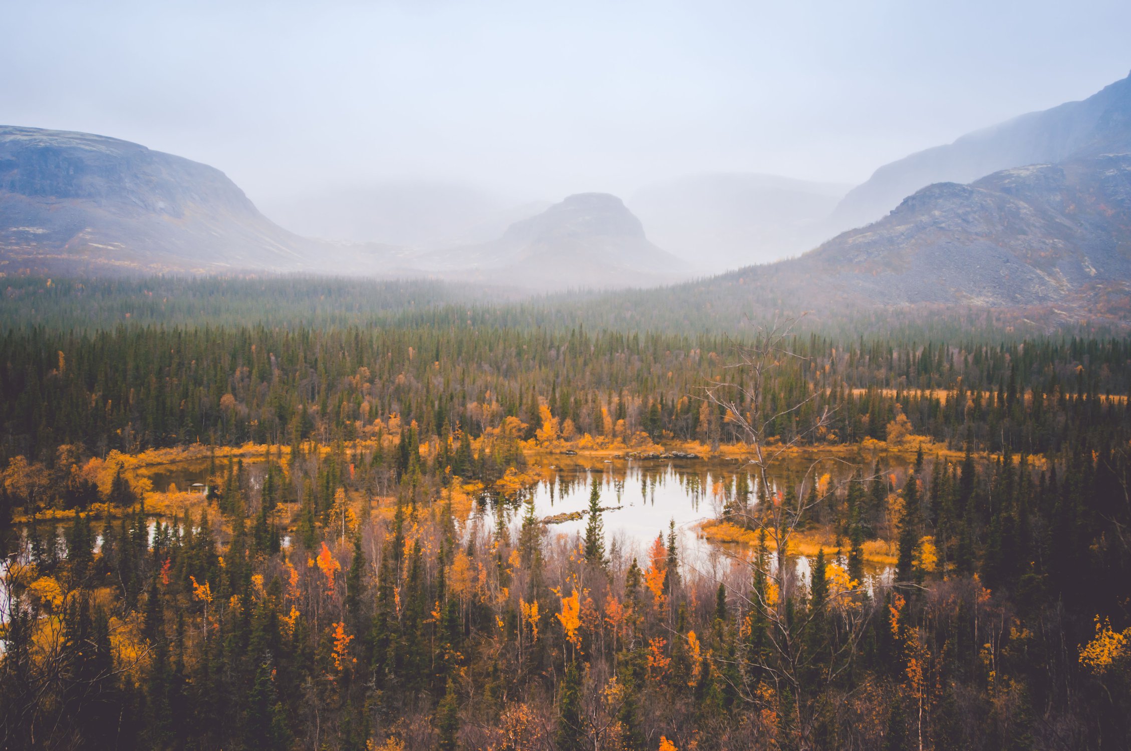 Осень на Кольском
