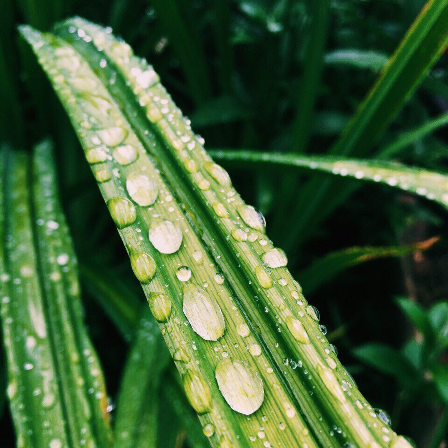 Дорога будущего дня