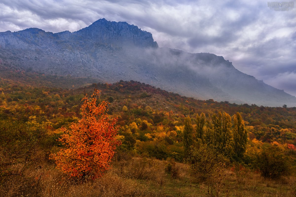 Ялта горы осень