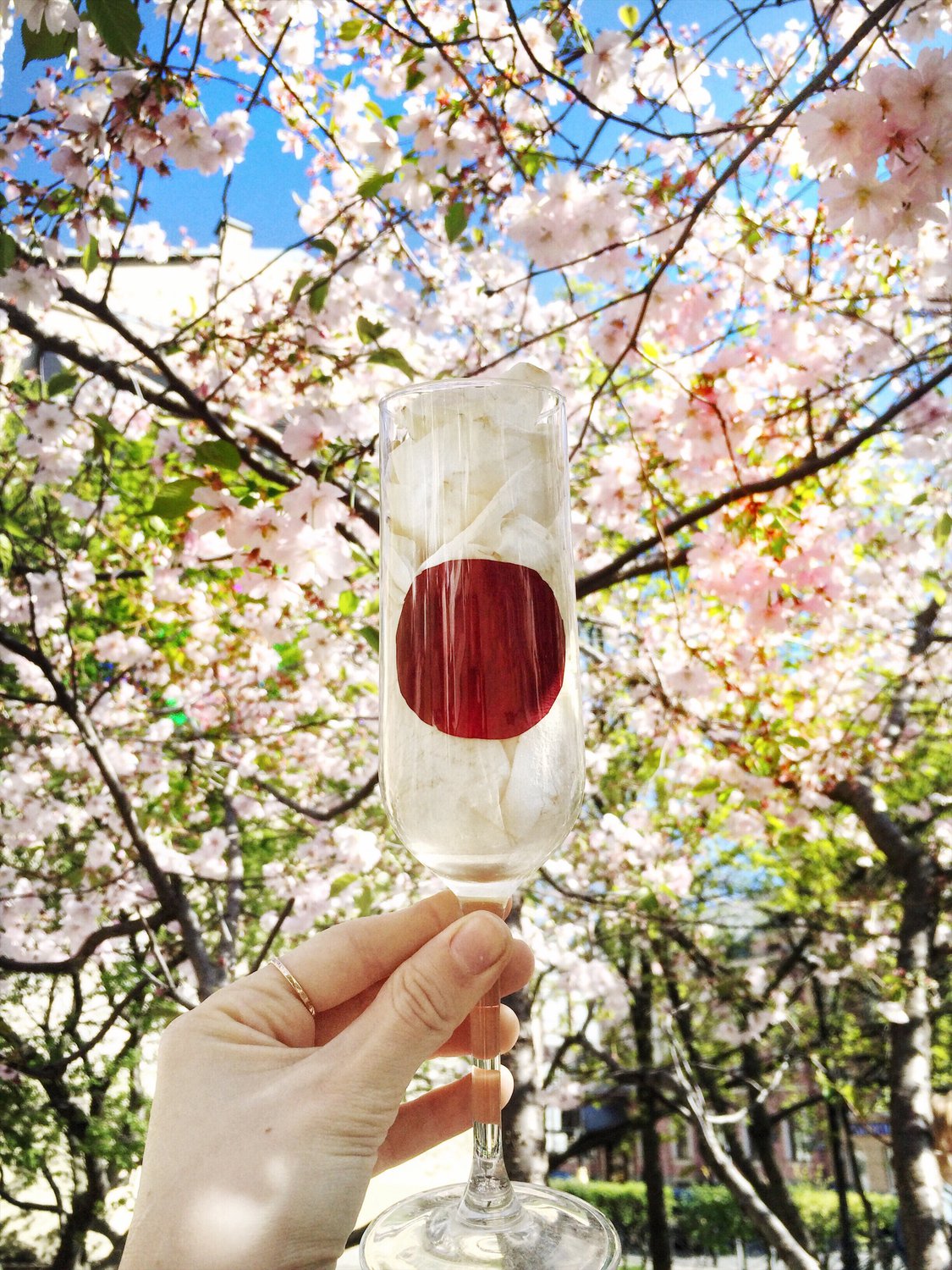 Вкус Японии