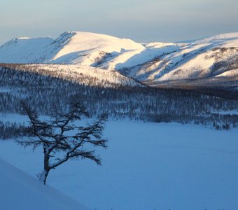 морозная тишь конца ноября