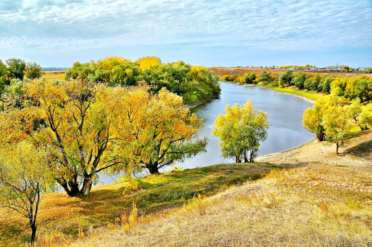 река дон осенью