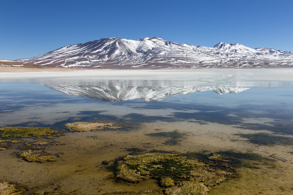 Белая лагуна