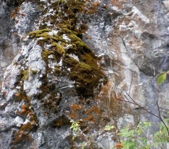 Скала в Природном парке Оленьи ручьи