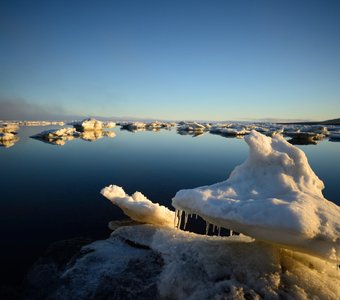 Безмолвие Арктики