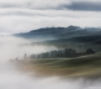 Италия. Тоскана. Туман на полях долины Val d’Orcia