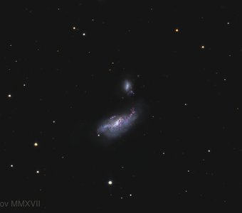 Галактика NGC 4490 "Кокон"