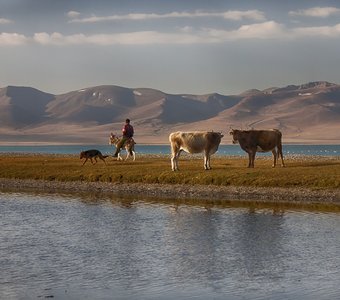 Будни Сон-Куля