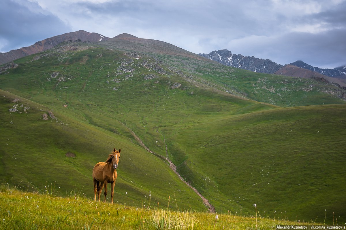 Природа казахстана картинки