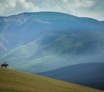 Одинокий всадник