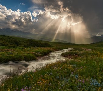 Летний вечер