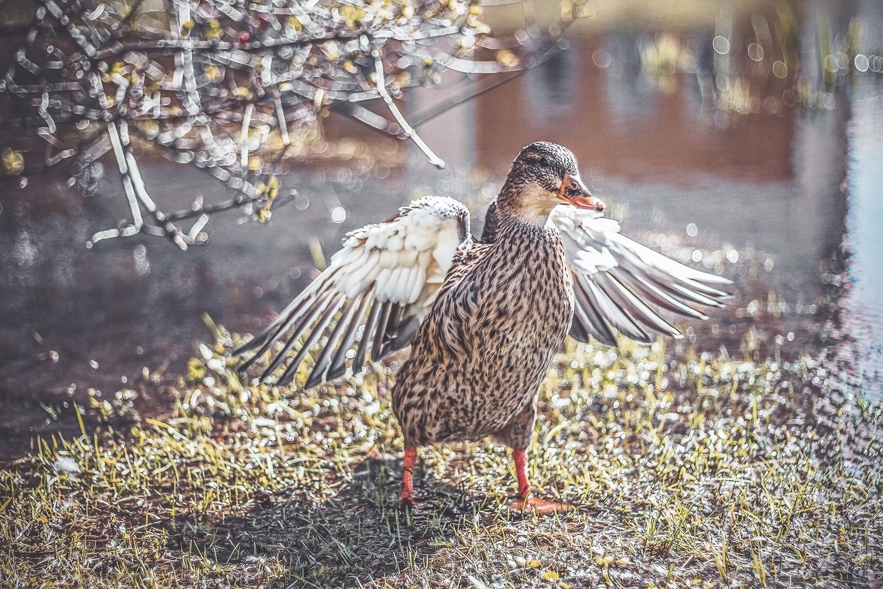 Водные процедуры