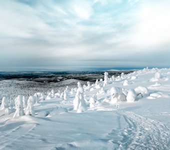 Зимний вид с горы Кивакка. Россия. Карелия