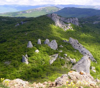Каменный цветок Крыма