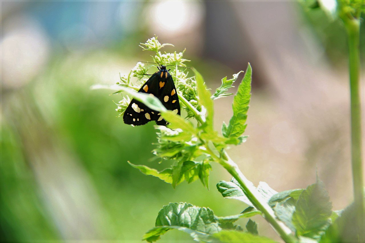 Красота в мелочах