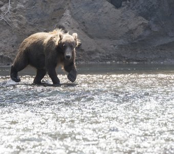 Вы перестали быть свидетелем