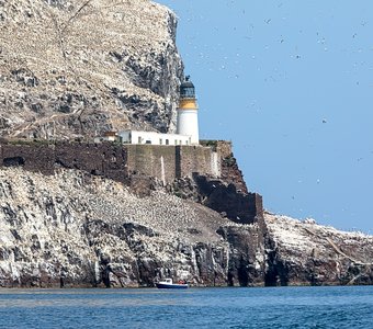 Маяк и руины древней часовни на острове Басс Рок. Шотландия
