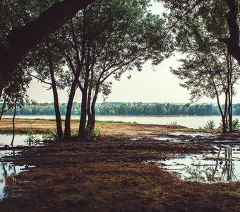 Гусиный перелёт