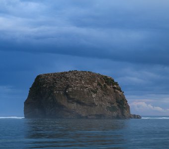 Остров Чаек